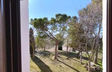 Puerta Laguna - Casa con parcela - Foto 25