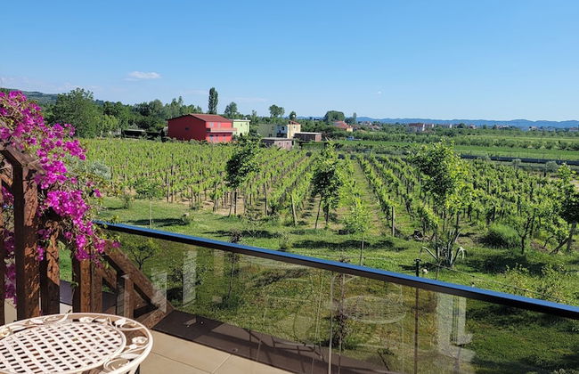 Lahuta e Vjetër Agroturizëm - Foto 53