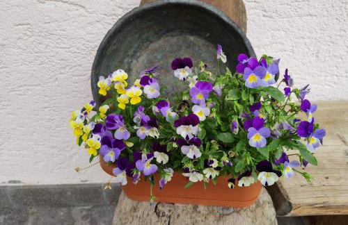 Appartamenti da Costantino - Foto 39