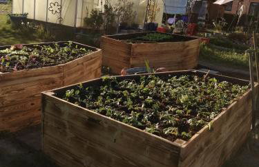 Ferienwohnungen Waldmann - Foto 3