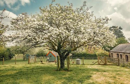 Tredethick Farm Cottages - Foto 22