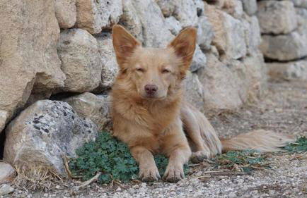 grottedisileno - Foto 16