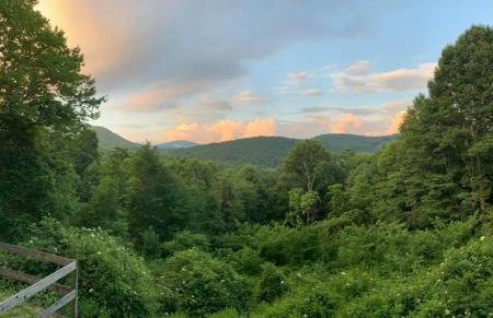 Appalachian View - Photo 22