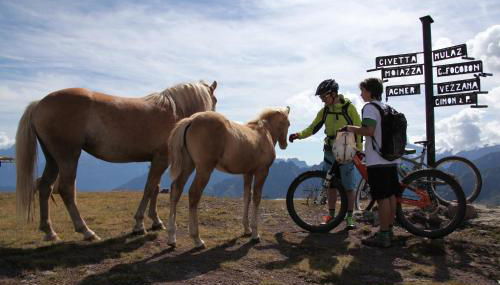 Condominio Le Marmotte - Foto 1