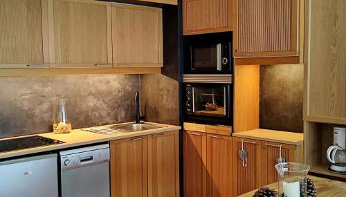 Appartement cosy 7 couchages au pied des pistes - Centre Prapoutel - FR-1-771-60 - Foto 3