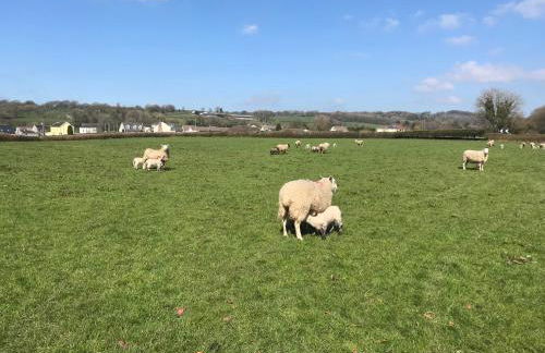 Red Kite Barn - Foto 33