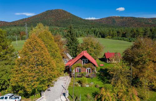 Magnus Lupus - Foto 40