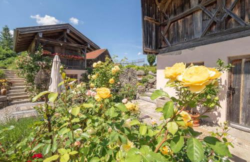 OSWALD anno 1714 - Photo 13