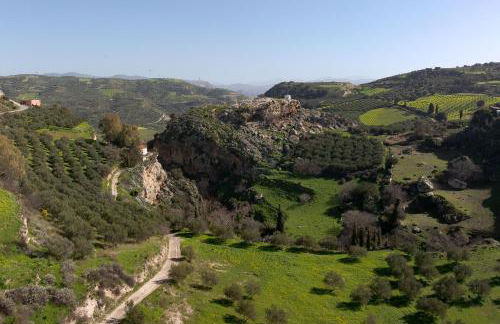 Venerato Villas Ampela & Apolonia, with Pool, Spa Whirlpool & Heritage, By ThinkVilla - Foto 6