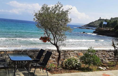 House Kokkalas on the beach - Photo 49