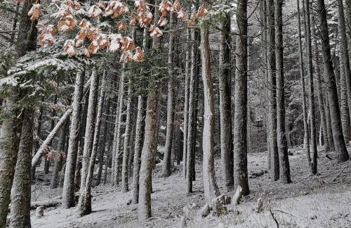 Villa Mantziou - Foto 47