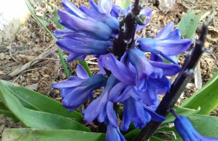 Sleepy Paradise Plitvice - Foto 25