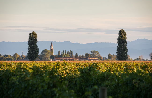 Agriturismo Ai Due Leoni - Foto 65