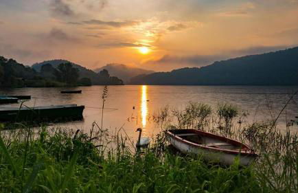 Ferienwohnung "Vier Pfoten" in Korbach - Foto 16