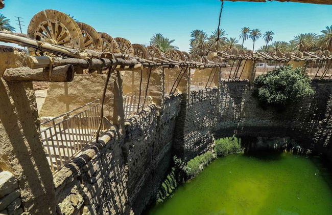 Escursione a Tayma - Foto 3