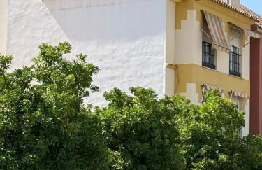 Paraiso de Santa Paula - Foto 18