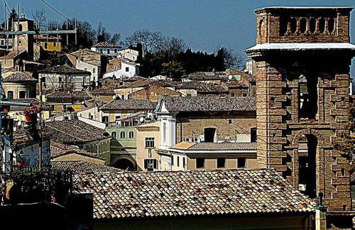 Agriturismo Cignale della Società Agricola Cignale srl - Photo 41