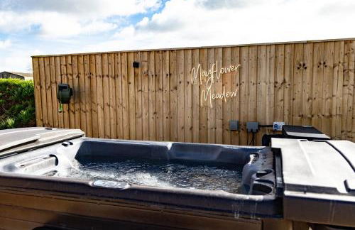 Andrus - Mayflower Meadow - Foto 20