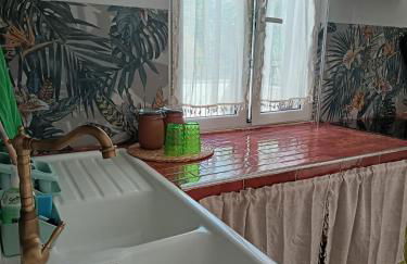 Ape Regina - Foto 25