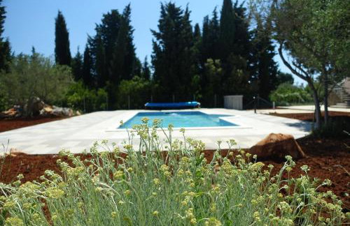 Olive Apartments - Photo 37