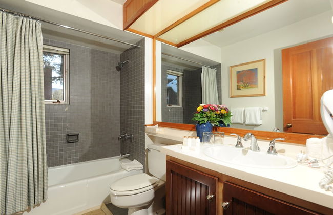 Forest Condominiums by Vail Resorts - Photo 65