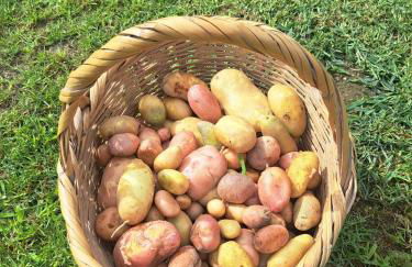 Quinta de VillaSete - Foto 27