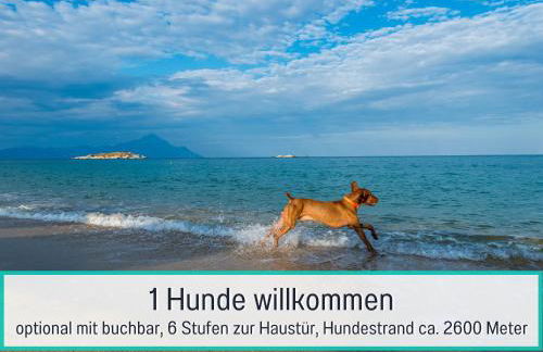 Familienglück - Viel Platz für Familien und mit Ihrem Hund - Foto 2