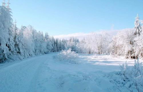 Bungalow Schwarzatalblick in Bad Blankenburg Ortsteil Böhlscheiben - Foto 11
