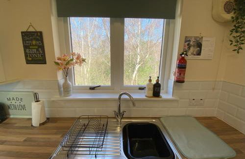 Treetops - Bright 2 Bed Flat - Super Location - Photo 26