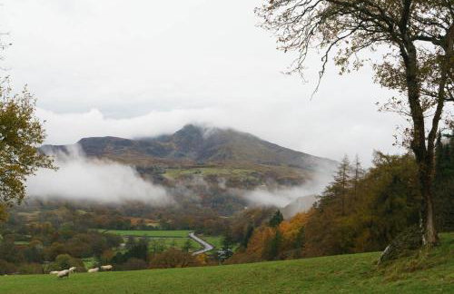 5 Star Shepherds Hut in Betws y Coed with Mountain View - Foto 24