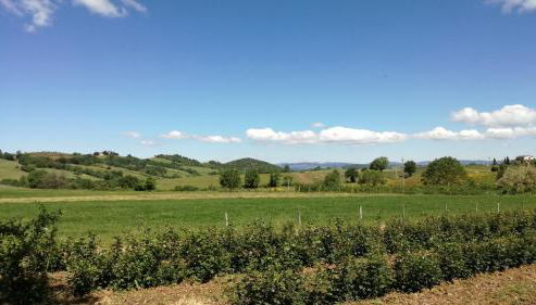 Agriturismo cavallin del papa - Foto 5