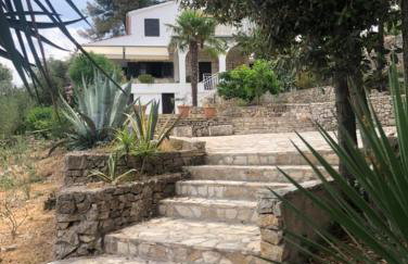 Apartment in Maslinica 70m from the sea - Photo 18