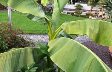 Ferienwohnung am Pferdemarkt - Foto 22