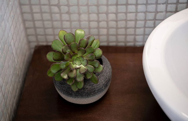 Tuscany Villa Near Marathi Beach 13pl 5bd - Photo 73