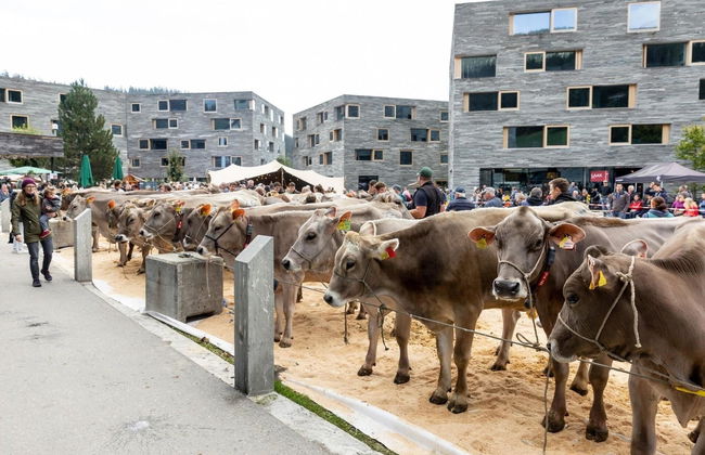 Rocksresort - Foto 25