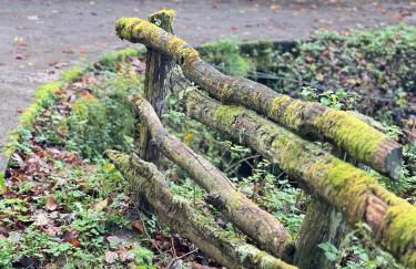La Casina del Cabecin en Parque Natural de Redes - Foto 35