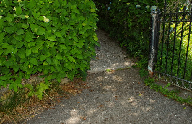 Baita Monti di Piazzogna - Foto 34