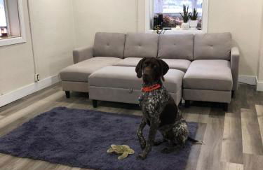 House on the WATER Lake of the Ozarks MO BIG DECK Swim Dock - Foto 24