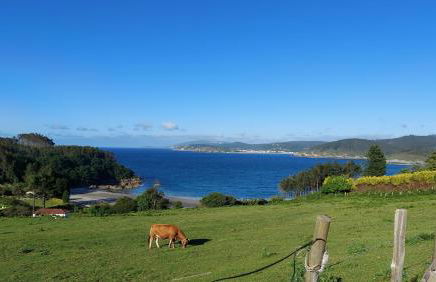 Apartamento La Ilusión - Cariño - Foto 40