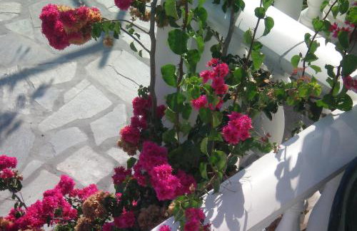 Villa Karras - Foto 66