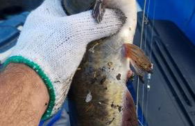 Gearhart Lakefront Vacation Rental - Foto 43