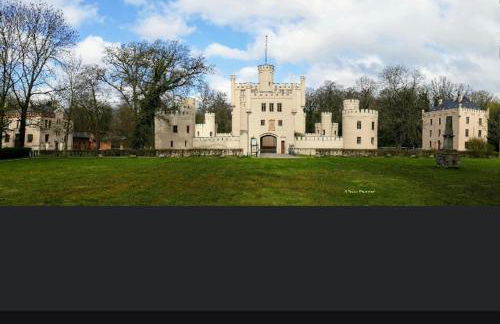 Gnaden- und Ferienhof Saale Wittgenstein in the middle of gar nix - Foto 78