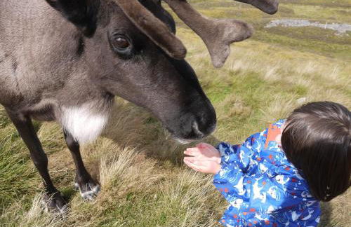 Drumguish Cottage - Foto 58