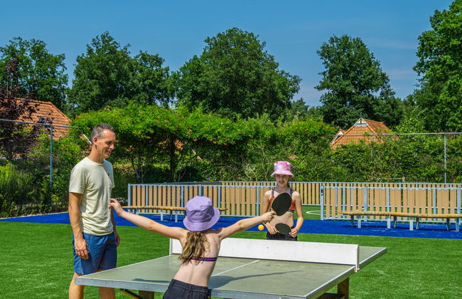 2 bedroom House in IJhorst with swimming pool and terrace - Photo 19