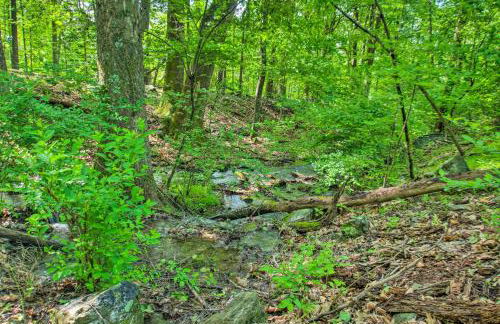 Renovated Studio on 5 Acres - Near Vineyards! - Foto 29