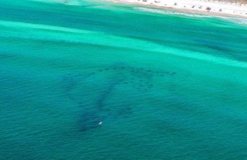 Grand Caribbean East 106 - Foto 76