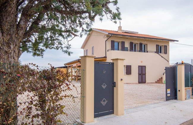 La Viola e il Sole - Foto 34