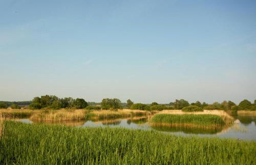 Countryside Retreat 5 Minutes to Glastonbury and 10 Minutes to Wells - Foto 18