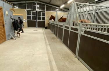 Logement entier de charme, gite équestre GERS Flamarens - Photo 28