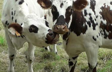 Coquet et accueillant Studio montagne la Mongie - Foto 27